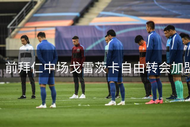 前拜仁中场戈雷茨卡自由转会加盟维拉